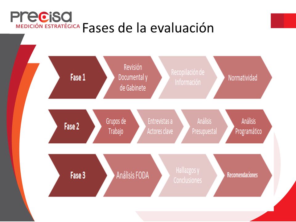 Fases de la evaluación