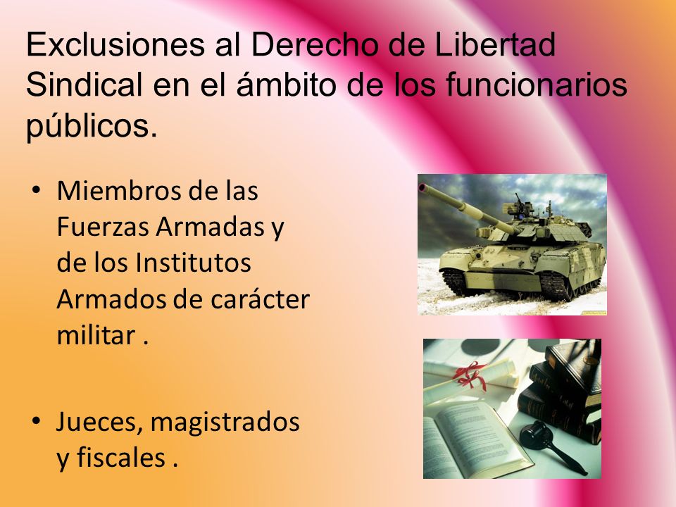 Exclusiones al Derecho de Libertad Sindical en el ámbito de los funcionarios públicos.