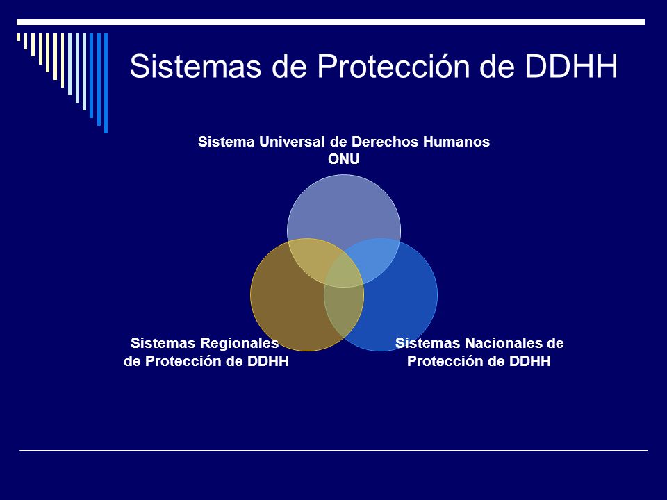 Sistemas de Protección de DDHH