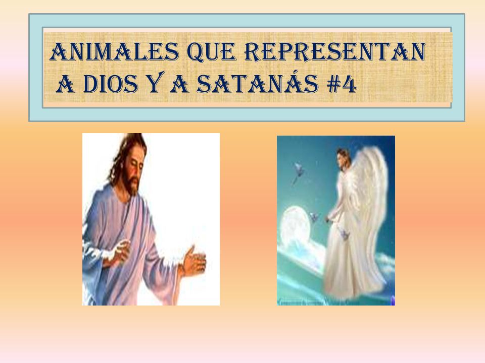 Animales que representan