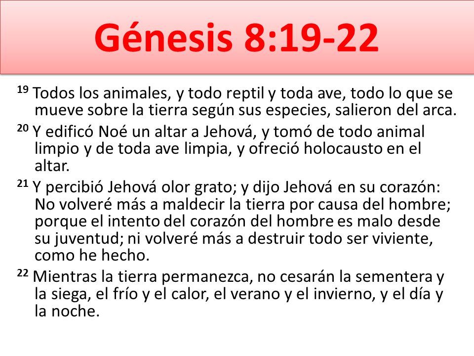 Génesis 8: Todos los animales, y todo reptil y toda ave, todo lo que se mueve sobre la tierra según sus especies, salieron del arca.