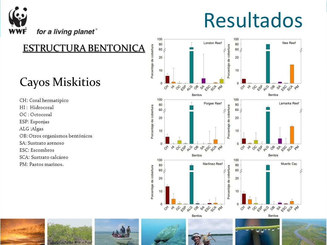 Resultados ESTRUCTURA BENTONICA Cayos Miskitios CH: Coral hermatípico