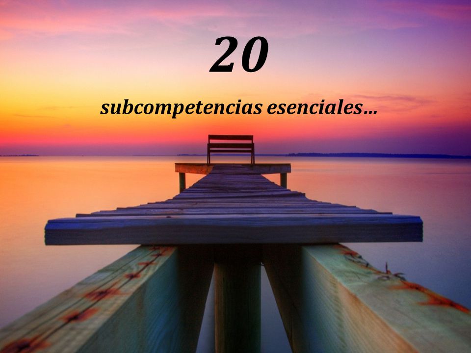 subcompetencias esenciales…