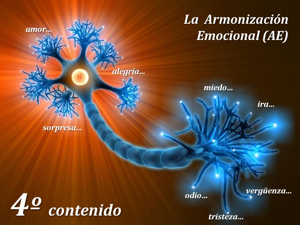 4º contenido amor… alegría… miedo… ira… sorpresa… vergüenza… odio…
