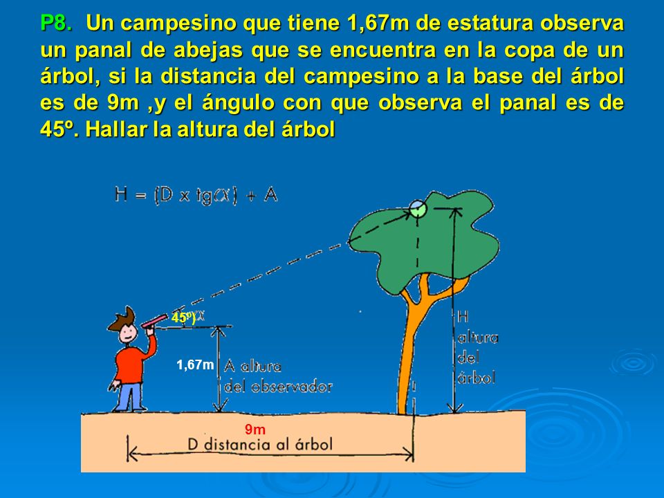 P8. Un campesino que tiene 1,67m de estatura observa un panal de abejas que se encuentra en la copa de un árbol, si la distancia del campesino a la base del árbol es de 9m ,y el ángulo con que observa el panal es de 45º. Hallar la altura del árbol