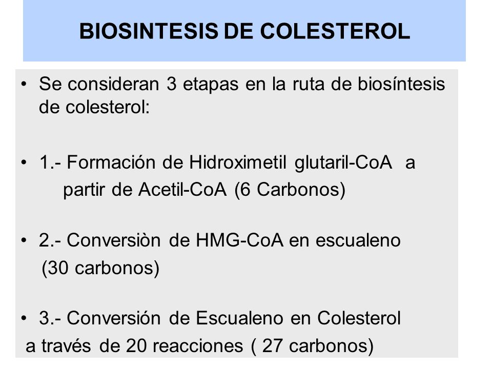 BIOSINTESIS DE COLESTEROL