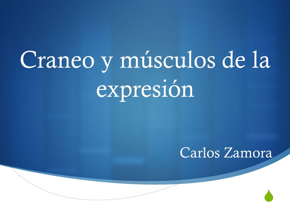 Craneo y músculos de la expresión