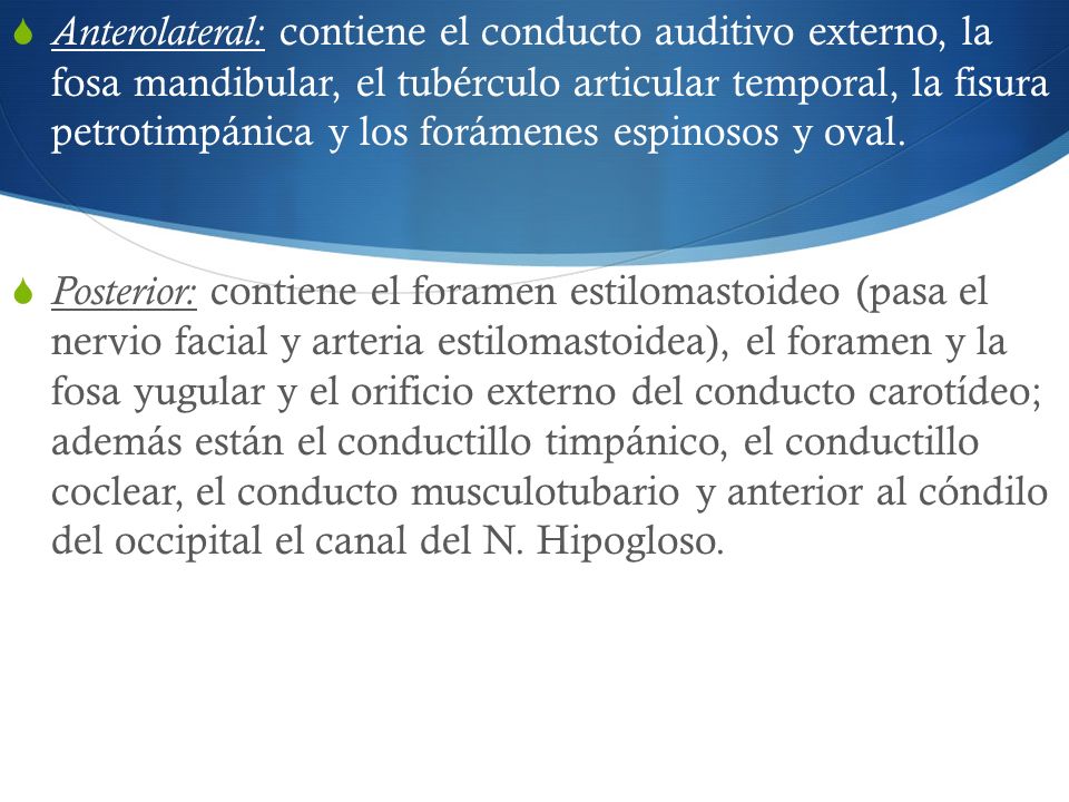 Anterolateral: contiene el conducto auditivo externo, la fosa mandibular, el tubérculo articular temporal, la fisura petrotimpánica y los forámenes espinosos y oval.