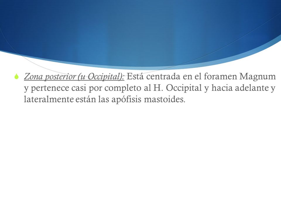 Zona posterior (u Occipital): Está centrada en el foramen Magnum y pertenece casi por completo al H.