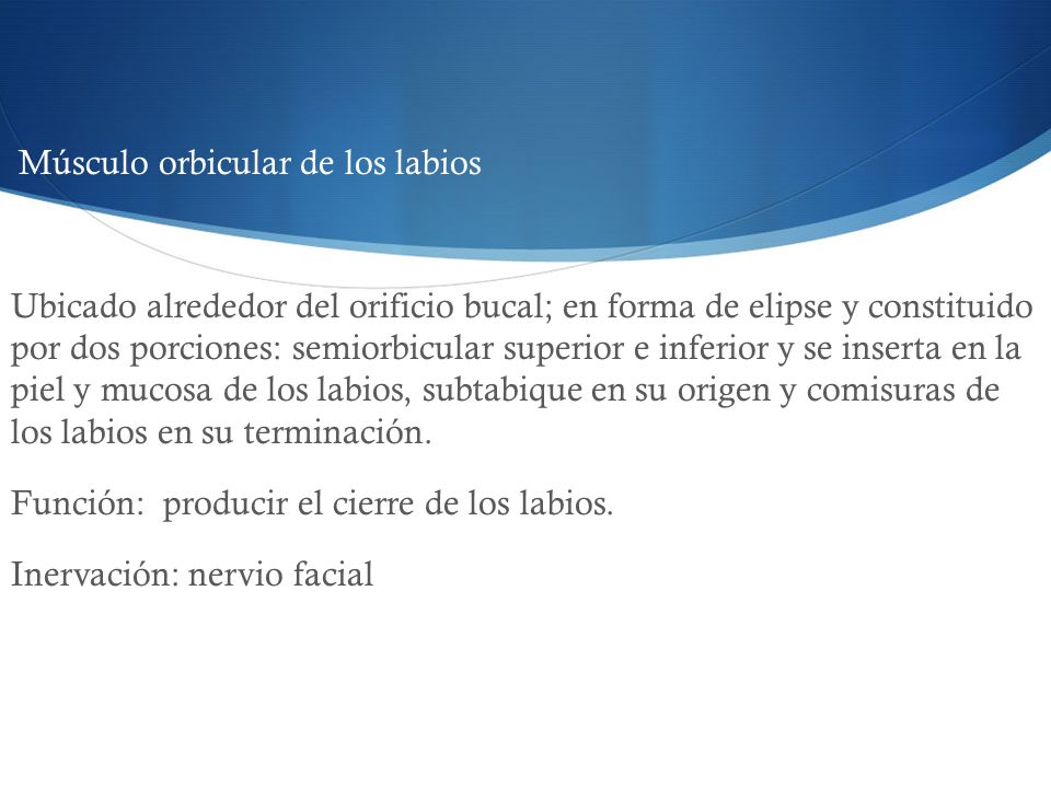 Función: producir el cierre de los labios. Inervación: nervio facial