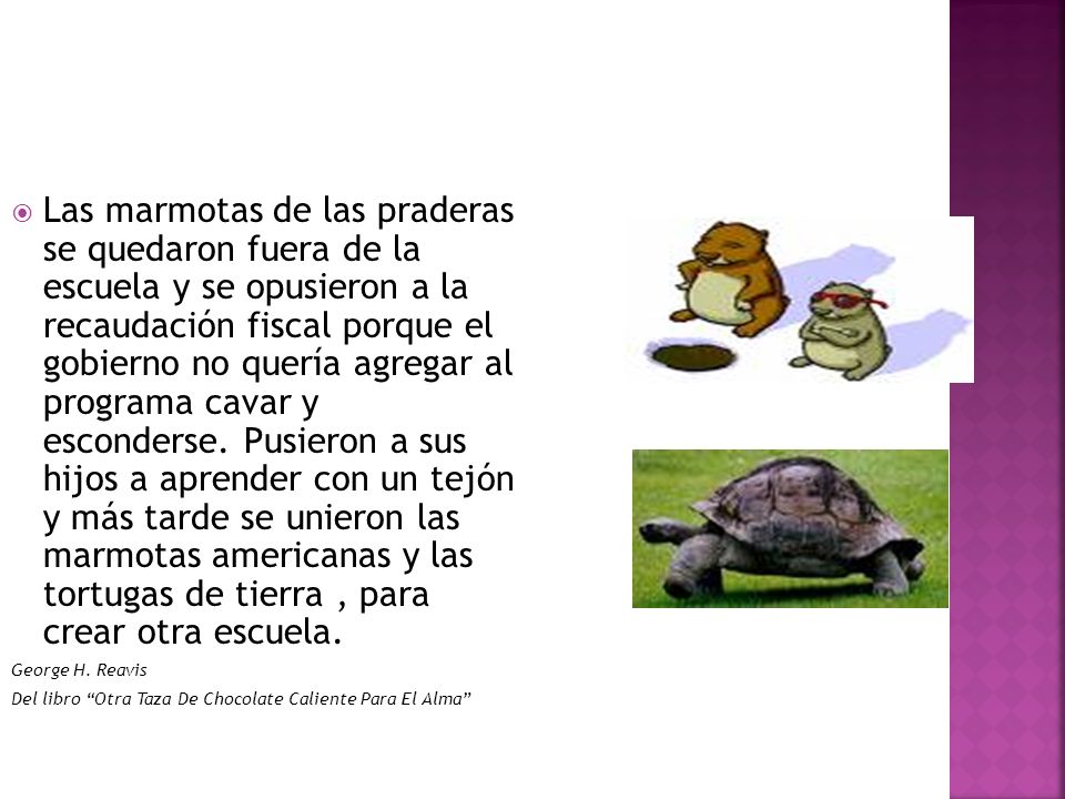 Las marmotas de las praderas se quedaron fuera de la escuela y se opusieron a la recaudación fiscal porque el gobierno no quería agregar al programa cavar y esconderse. Pusieron a sus hijos a aprender con un tejón y más tarde se unieron las marmotas americanas y las tortugas de tierra , para crear otra escuela.