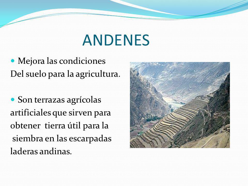 ANDENES Mejora las condiciones Del suelo para la agricultura.
