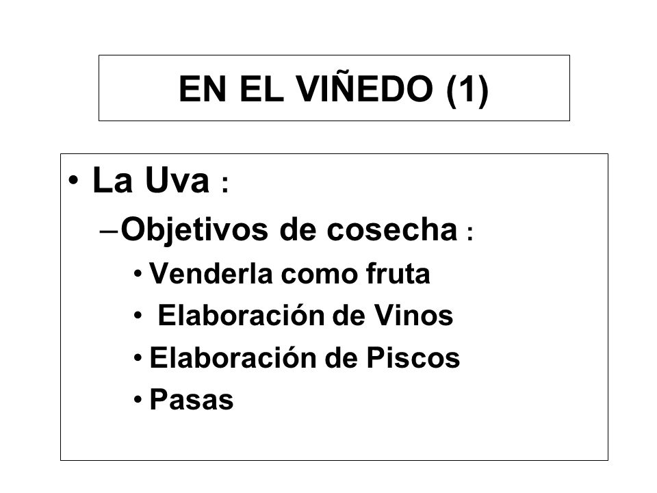 EN EL VIÑEDO (1) La Uva : Objetivos de cosecha : Venderla como fruta