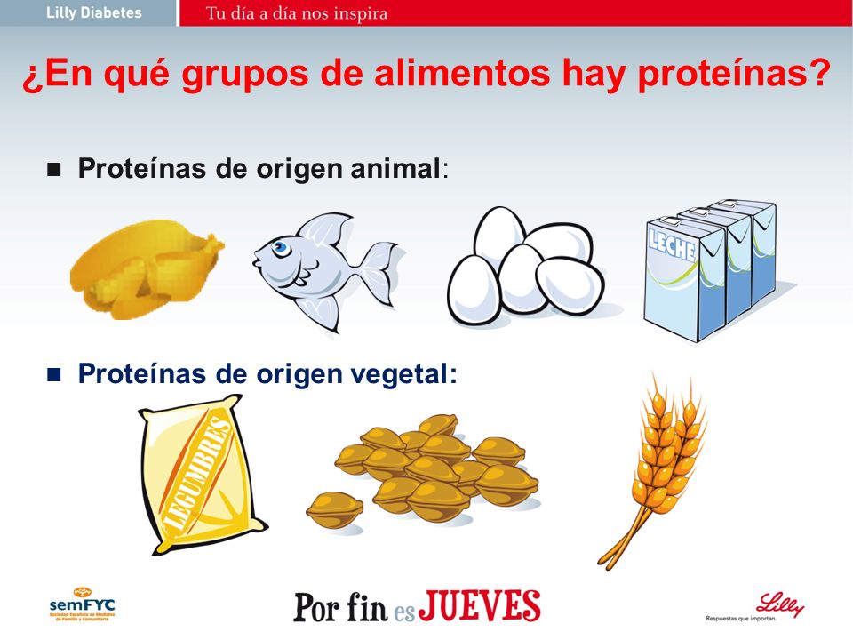 ¿En qué grupos de alimentos hay proteínas