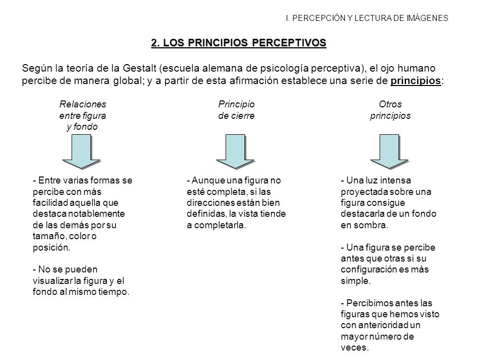 2. LOS PRINCIPIOS PERCEPTIVOS