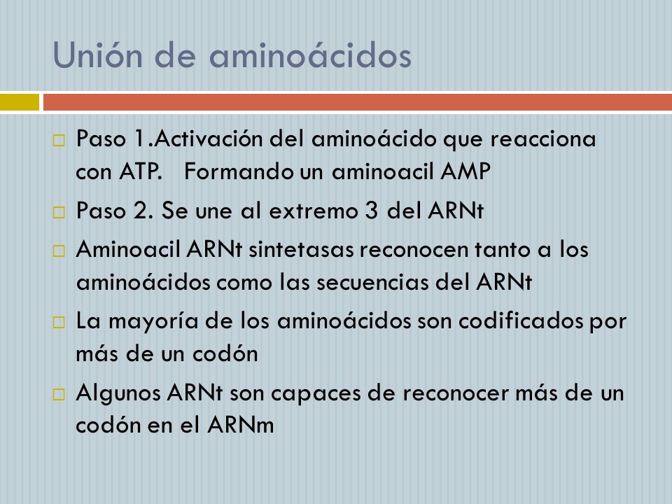 Unión de aminoácidos Paso 1.Activación del aminoácido que reacciona con ATP. Formando un aminoacil AMP.