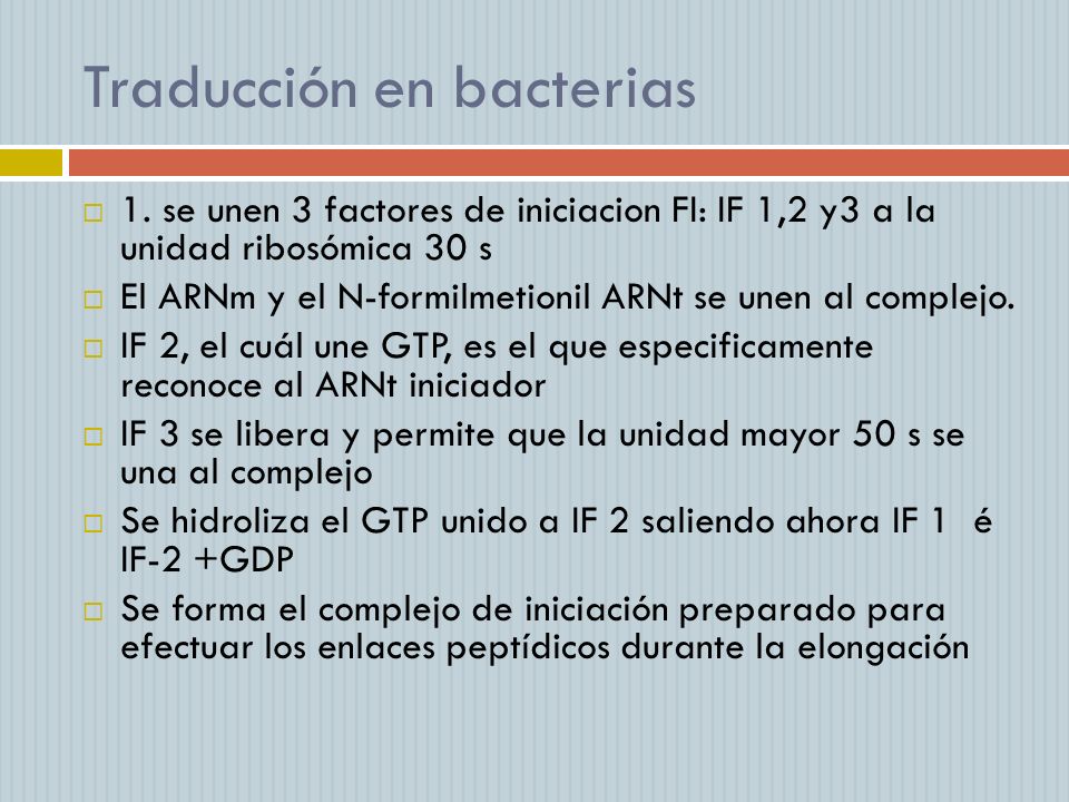Traducción en bacterias