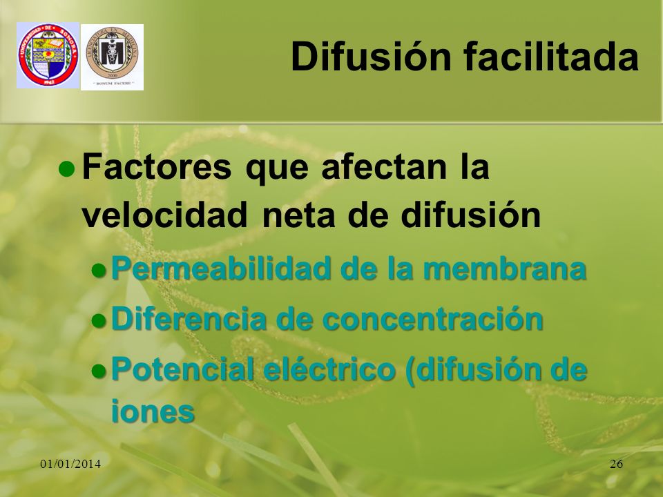 Difusión facilitada Factores que afectan la velocidad neta de difusión