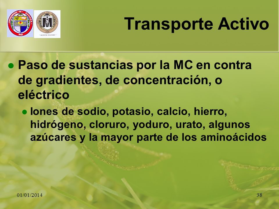 Transporte Activo Paso de sustancias por la MC en contra de gradientes, de concentración, o eléctrico.