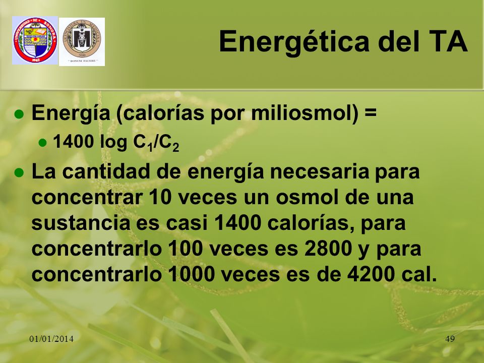 Energética del TA Energía (calorías por miliosmol) =