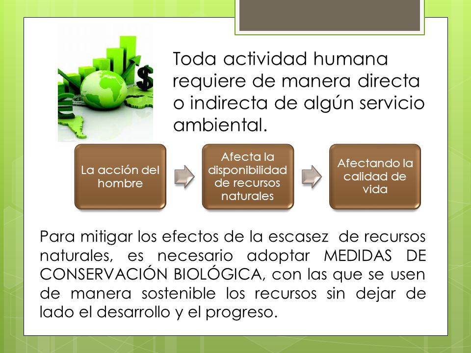 Toda actividad humana requiere de manera directa o indirecta de algún servicio ambiental.