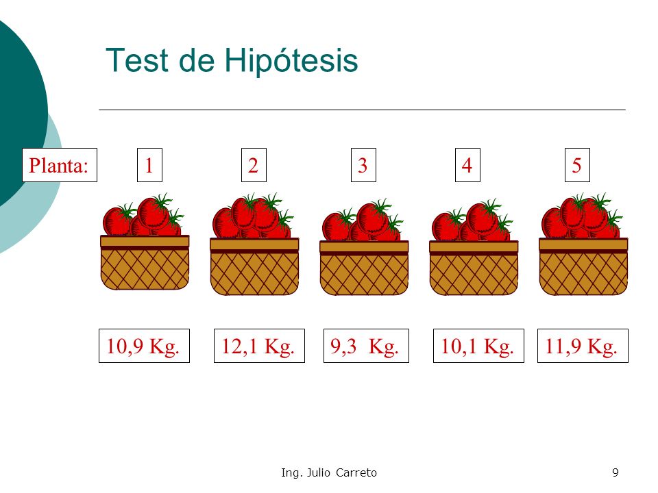 Test de Hipótesis Planta: ,9 Kg. 12,1 Kg. 9,3 Kg. 10,1 Kg.