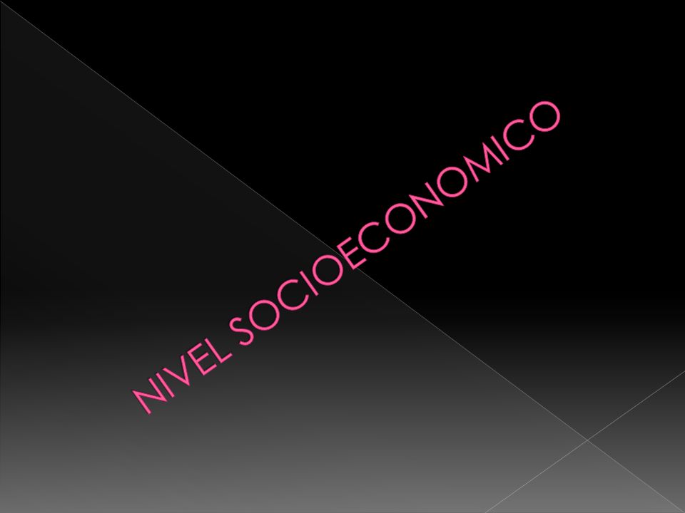 NIVEL SOCIOECONOMICO