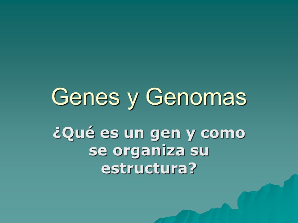 ¿Qué es un gen y como se organiza su estructura