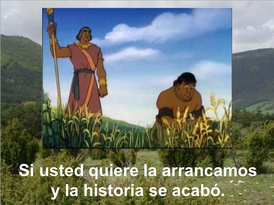 Si usted quiere la arrancamos y la historia se acabó.