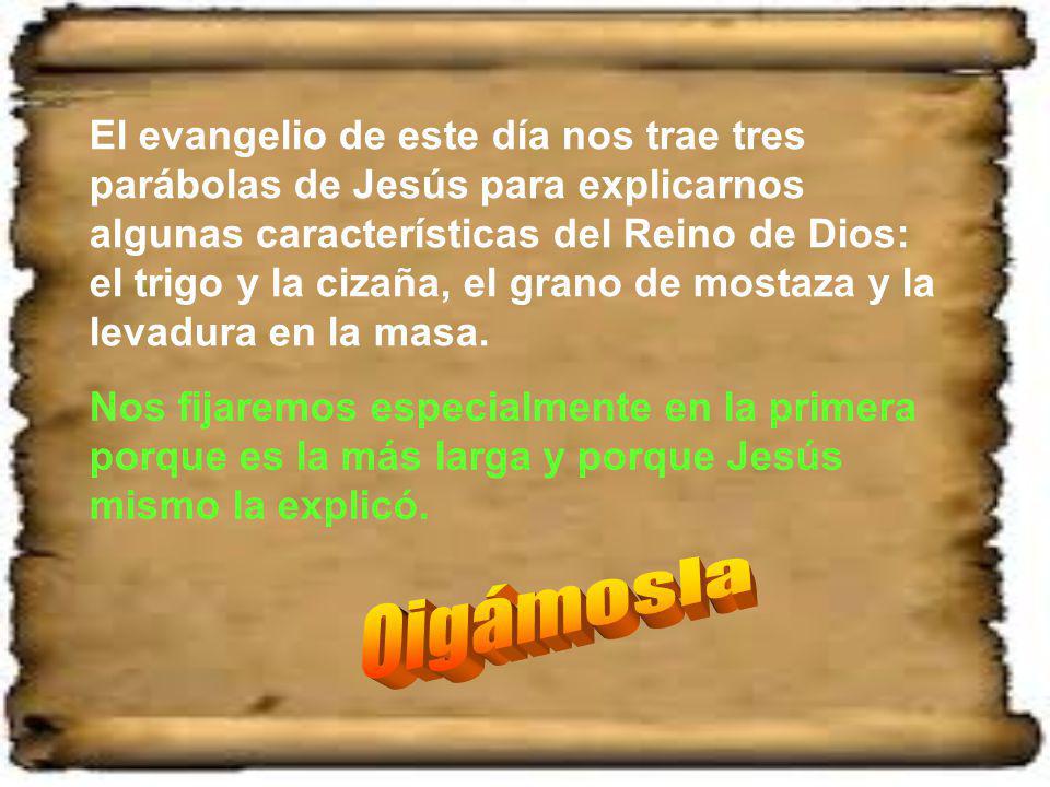 El evangelio de este día nos trae tres parábolas de Jesús para explicarnos algunas características del Reino de Dios: el trigo y la cizaña, el grano de mostaza y la levadura en la masa.