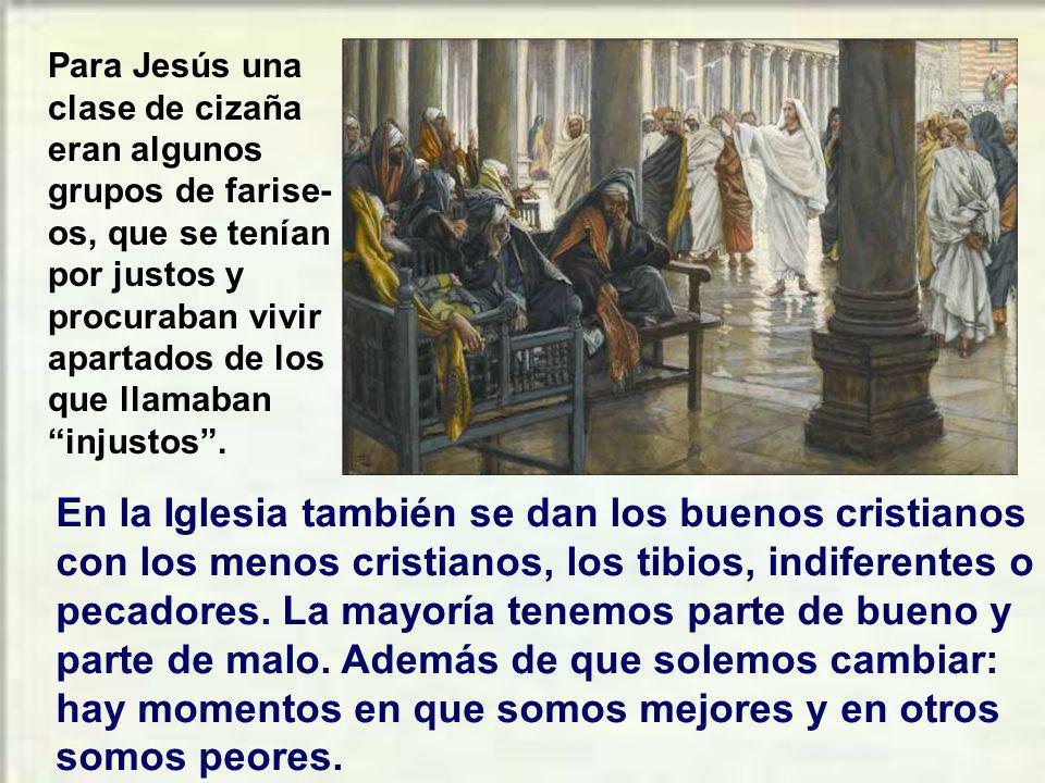 Para Jesús una clase de cizaña eran algunos grupos de farise-os, que se tenían por justos y procuraban vivir apartados de los que llamaban injustos .