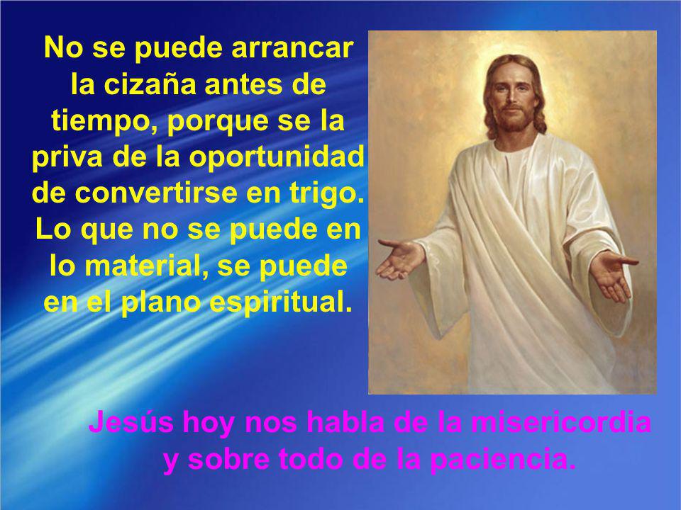 Jesús hoy nos habla de la misericordia y sobre todo de la paciencia.