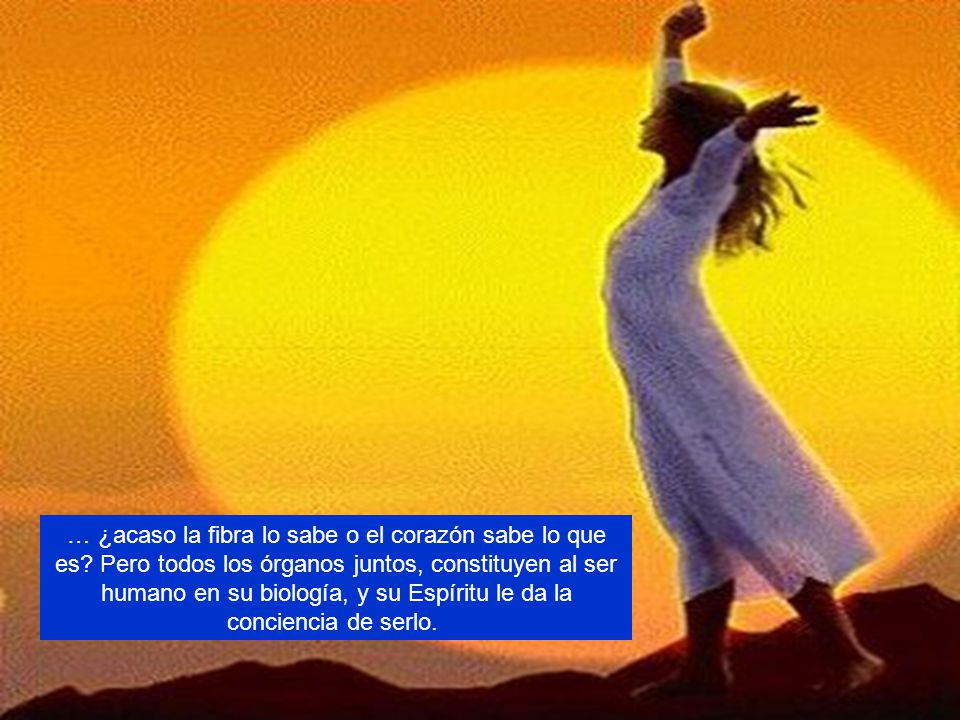 … ¿acaso la fibra lo sabe o el corazón sabe lo que es