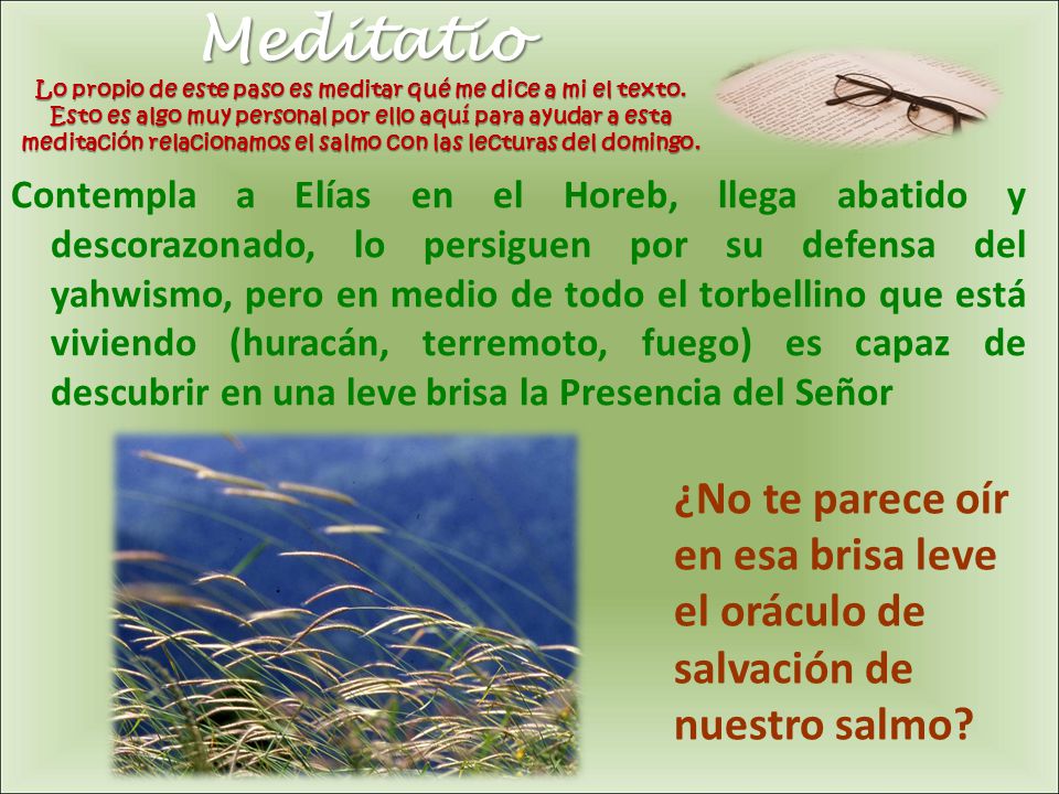 Meditatio Lo propio de este paso es meditar qué me dice a mi el texto