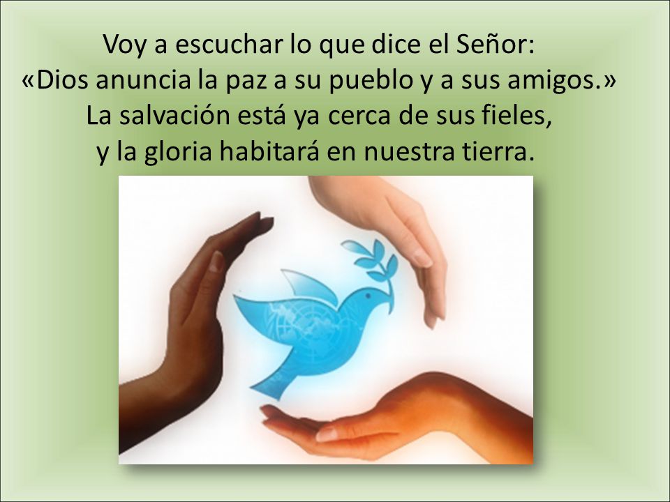 Voy a escuchar lo que dice el Señor: «Dios anuncia la paz a su pueblo y a sus amigos.» La salvación está ya cerca de sus fieles, y la gloria habitará en nuestra tierra.