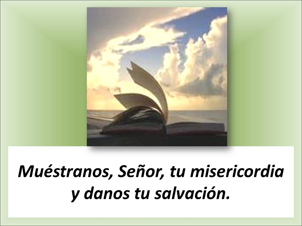 Muéstranos, Señor, tu misericordia y danos tu salvación.