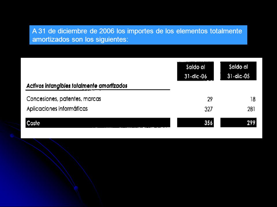 A 31 de diciembre de 2006 los importes de los elementos totalmente