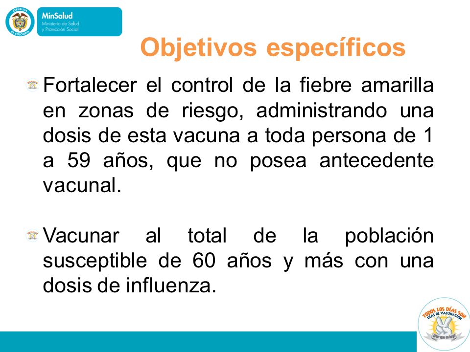 Objetivos específicos