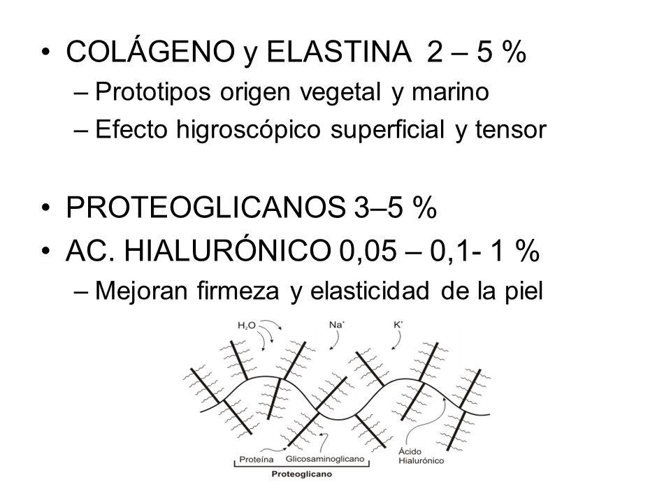 COLÁGENO y ELASTINA 2 – 5 % PROTEOGLICANOS 3–5 %