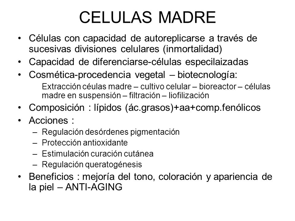 CELULAS MADRE Células con capacidad de autoreplicarse a través de sucesivas divisiones celulares (inmortalidad)