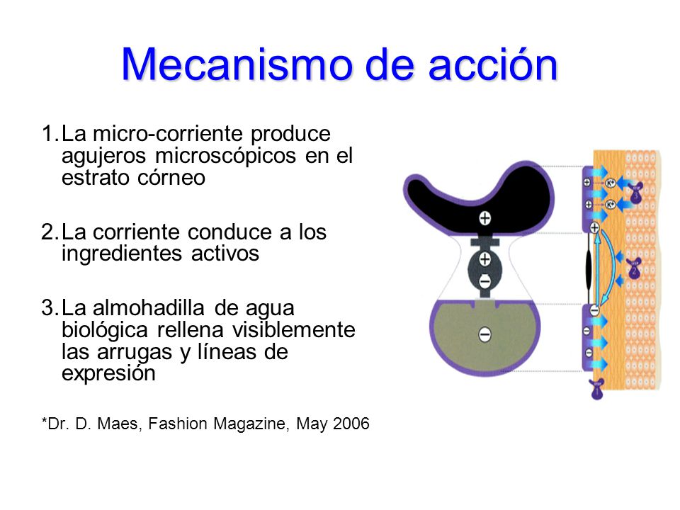 Mecanismo de acción La micro-corriente produce agujeros microscópicos en el estrato córneo. La corriente conduce a los ingredientes activos.