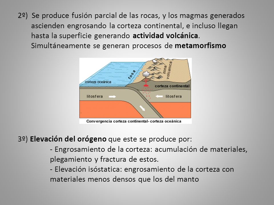 2º) Se produce fusión parcial de las rocas, y los magmas generados ascienden engrosando la corteza continental, e incluso llegan hasta la superficie generando actividad volcánica. Simultáneamente se generan procesos de metamorfismo