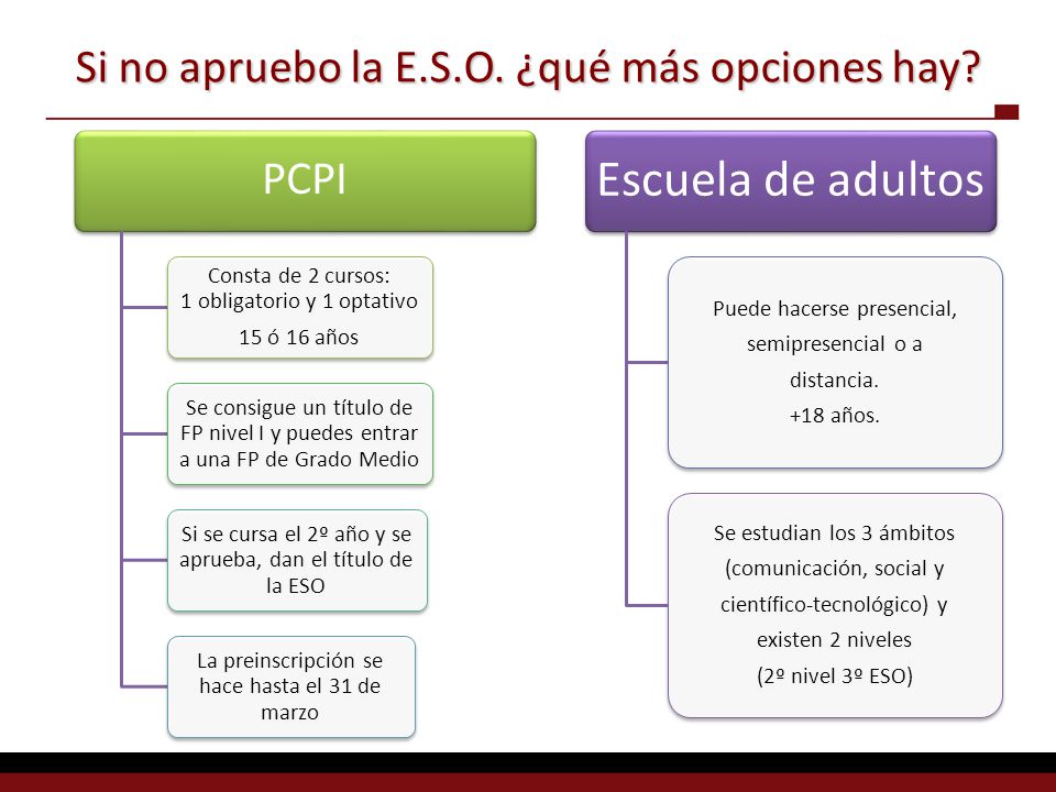 Si no apruebo la E.S.O. ¿qué más opciones hay PCPI
