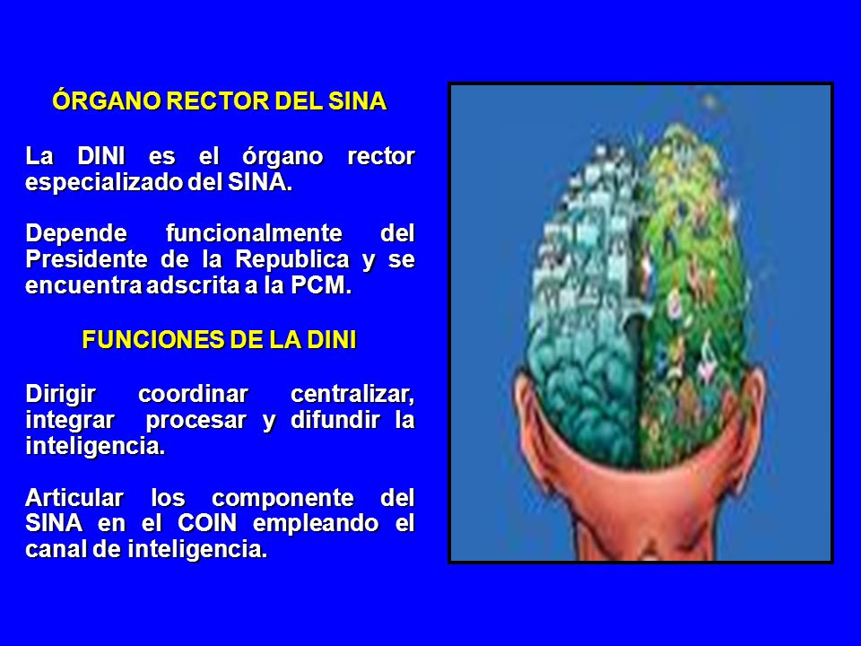 ÓRGANO RECTOR DEL SINA La DINI es el órgano rector especializado del SINA.