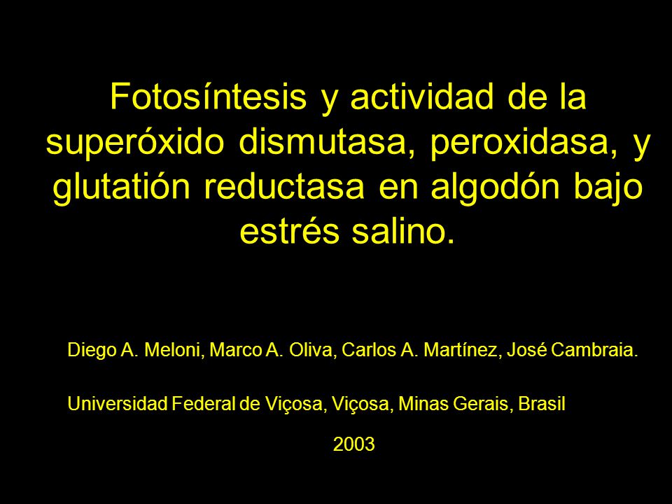 Fotosíntesis y actividad de la superóxido dismutasa, peroxidasa, y glutatión reductasa en algodón bajo estrés salino.