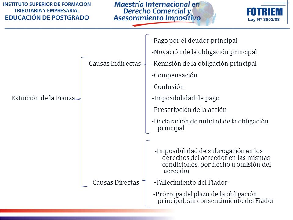 -Pago por el deudor principal -Novación de la obligación principal Causas Indirectas -Remisión de la obligación principal -Compensación -Confusión Extinción de la Fianza -Imposibilidad de pago -Prescripción de la acción -Declaración de nulidad de la obligación principal -Imposibilidad de subrogación en los derechos del acreedor en las mismas condiciones, por hecho u omisión del acreedor Causas Directas -Fallecimiento del Fiador -Prórroga del plazo de la obligación principal, sin consentimiento del Fiador
