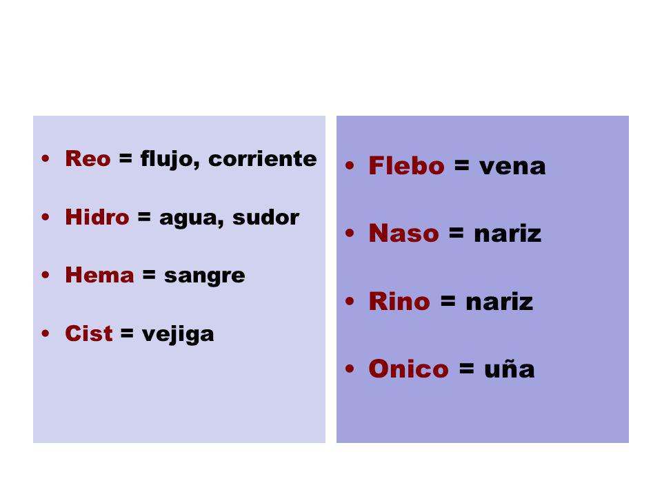 Flebo = vena Naso = nariz Rino = nariz Onico = uña