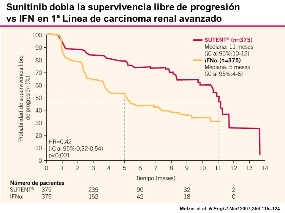 Sunitinib dobla la supervivencia libre de progresión vs IFN en 1ª Línea de carcinoma renal avanzado