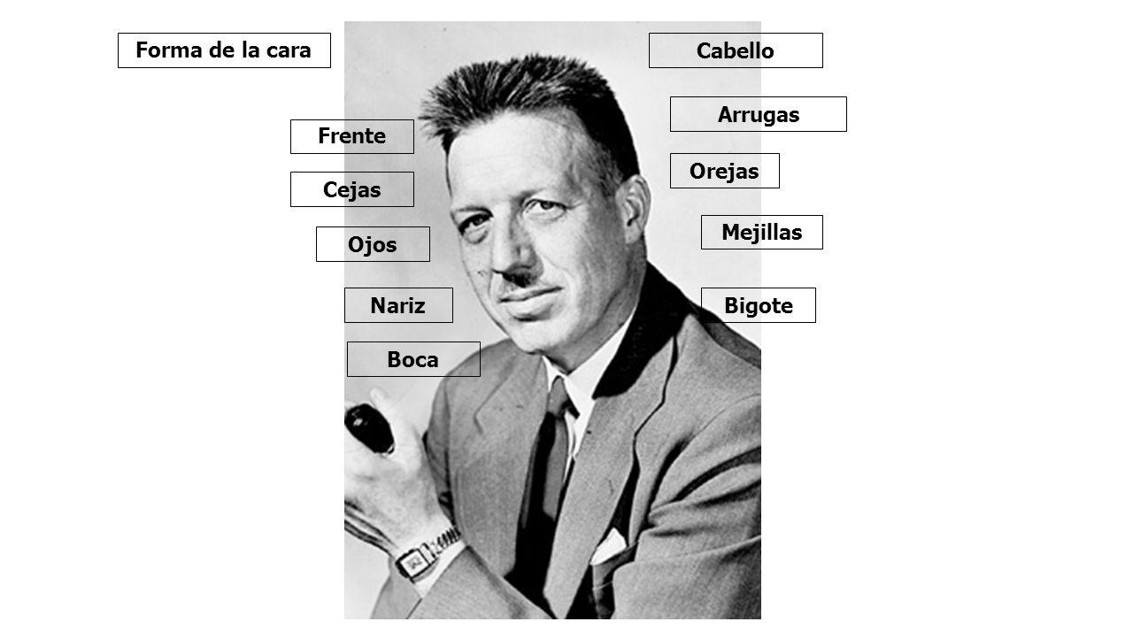 Forma de la cara Cabello Arrugas Frente Orejas Cejas Mejillas Ojos Nariz Bigote Boca