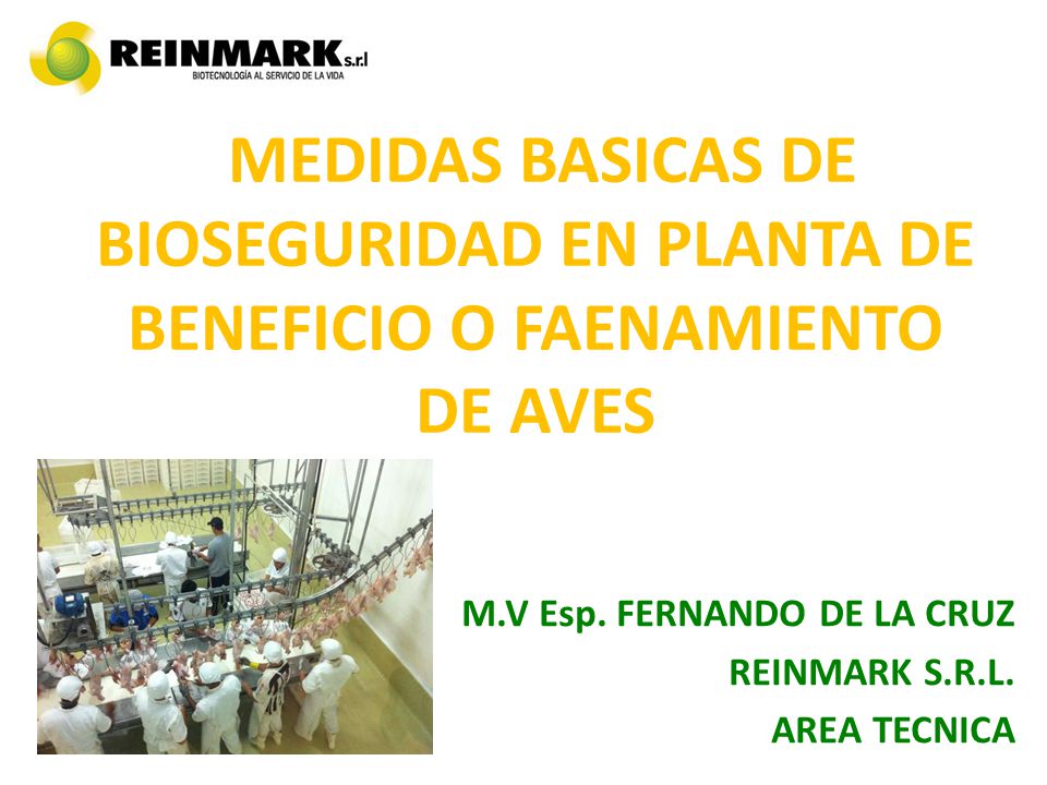 M.V Esp. FERNANDO DE LA CRUZ REINMARK S.R.L. AREA TECNICA